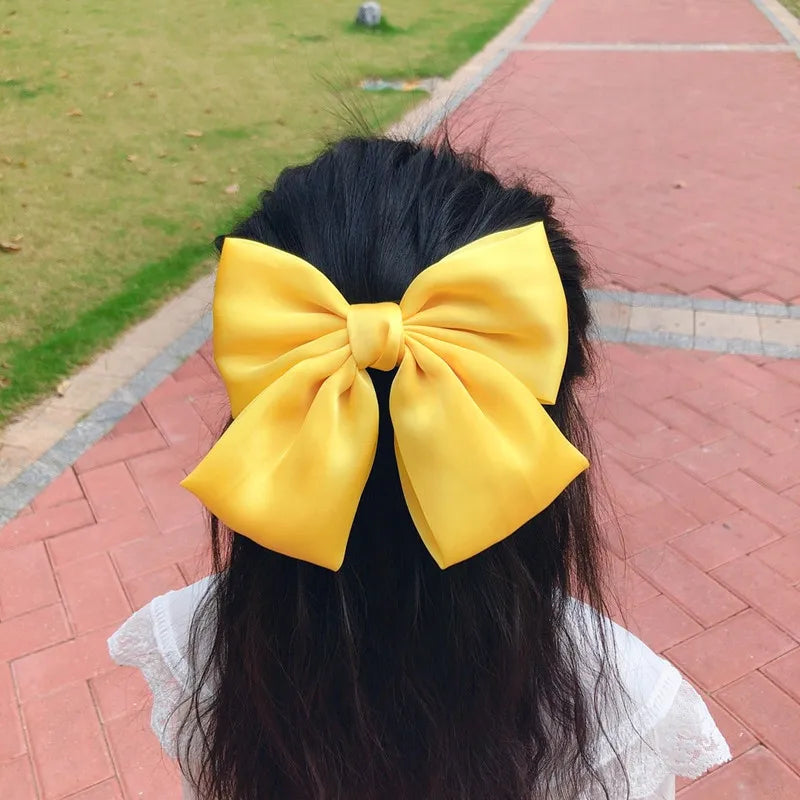 Satin Ribbon Clips