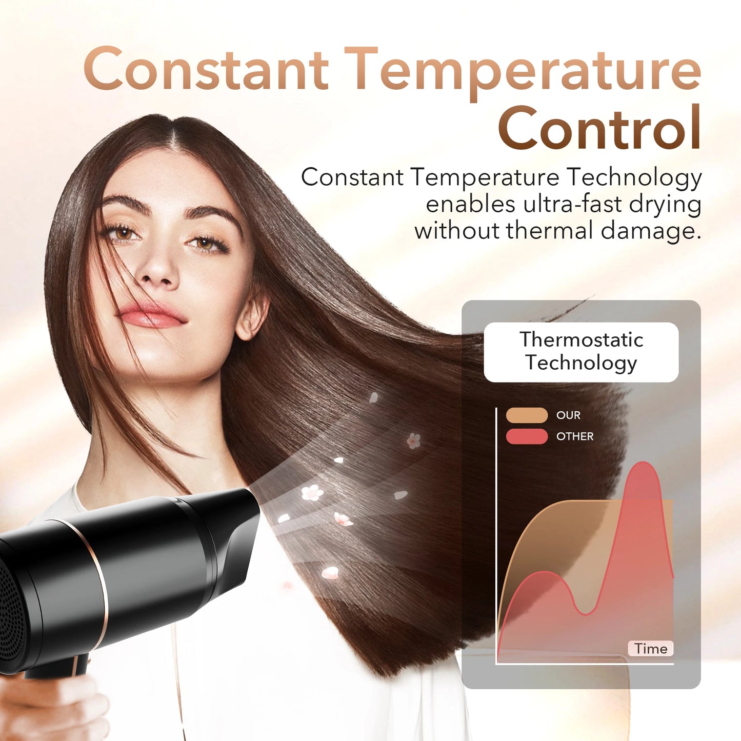 Anion Electric Hair Dryer
