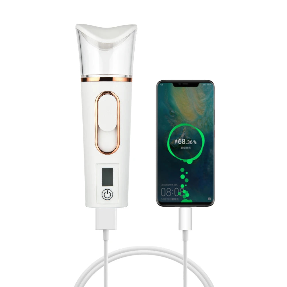 Rose Gold Facial Steamer