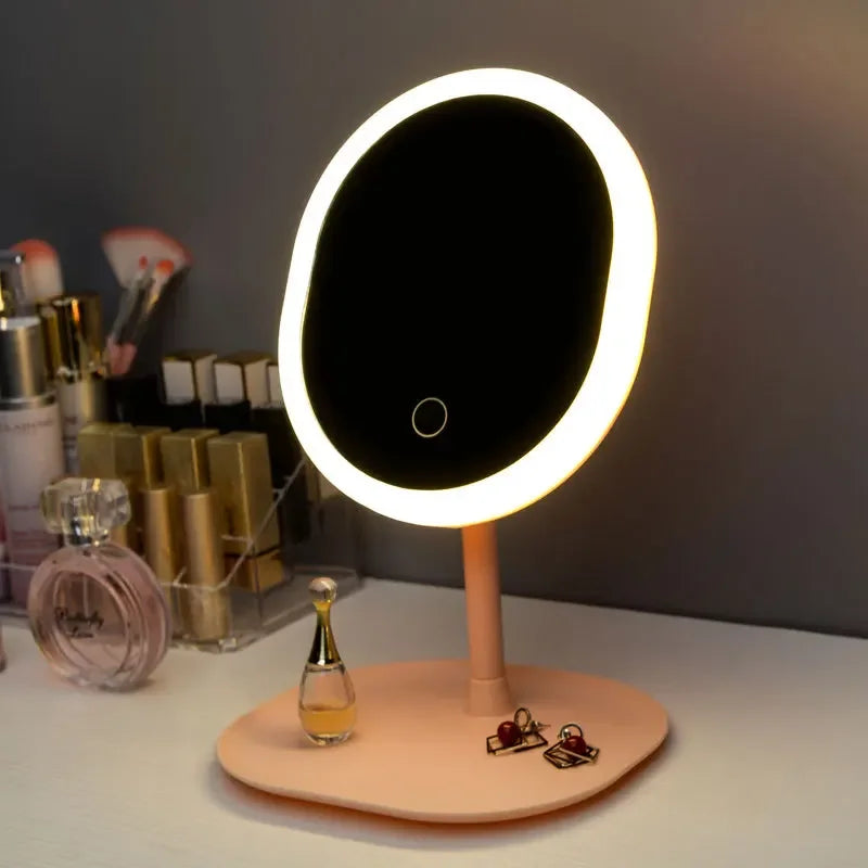 Oval LED Light Mirror